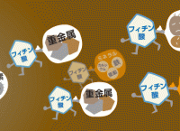16_hatugagenmai_fitin